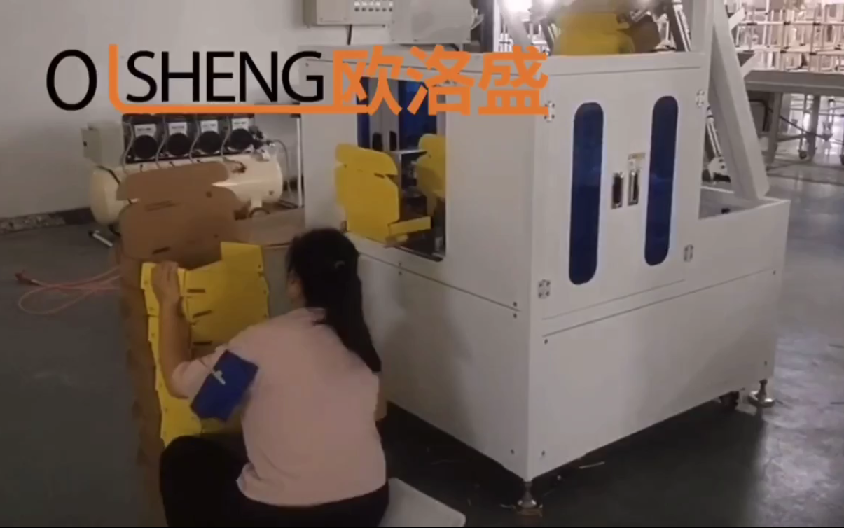 電商倉(cāng)采用小型自動(dòng)折盒機(jī)案例視頻